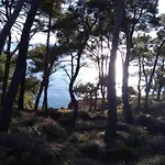 Appartamento In Near Volme *