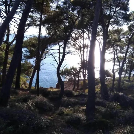 アパート In Near Volme *