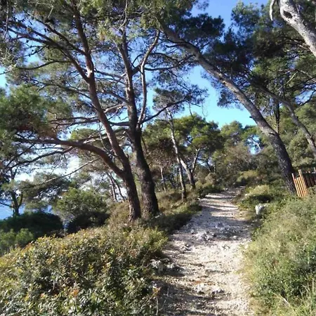 In Near Volme