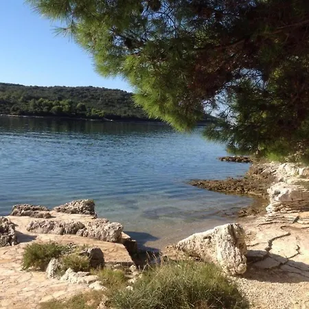 Apartman In Near Volme