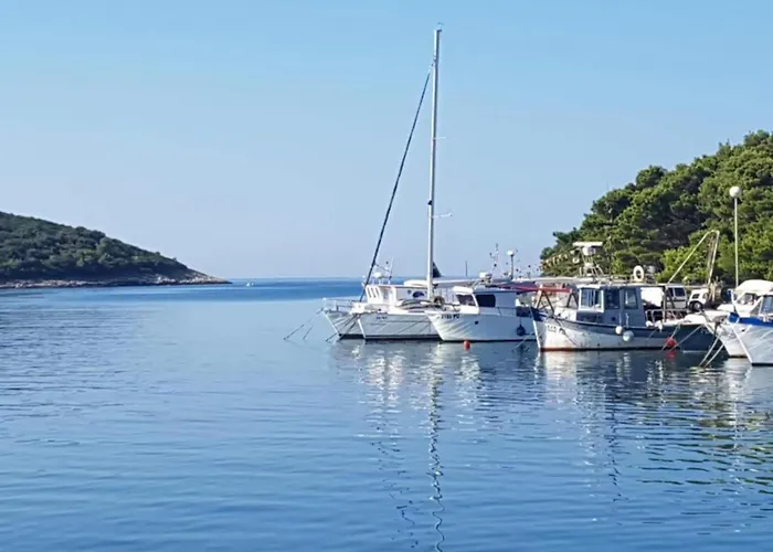 In Near Volme Apartamento *