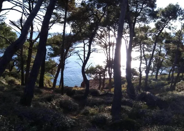 Apartamento In Near Volme *