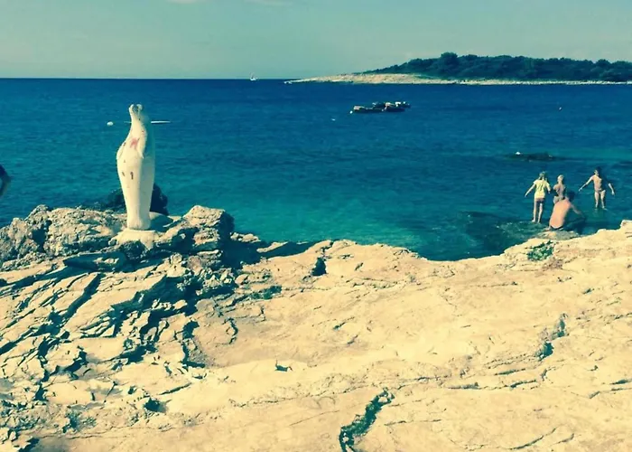 In Near Volme Apartamento